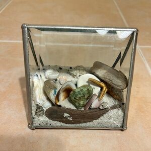 Glass Terrarium with Seashells and Sand !